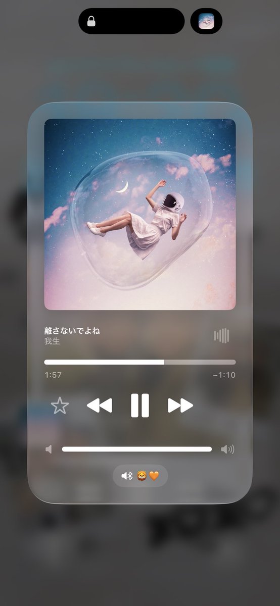 さくら🌻 tweet media