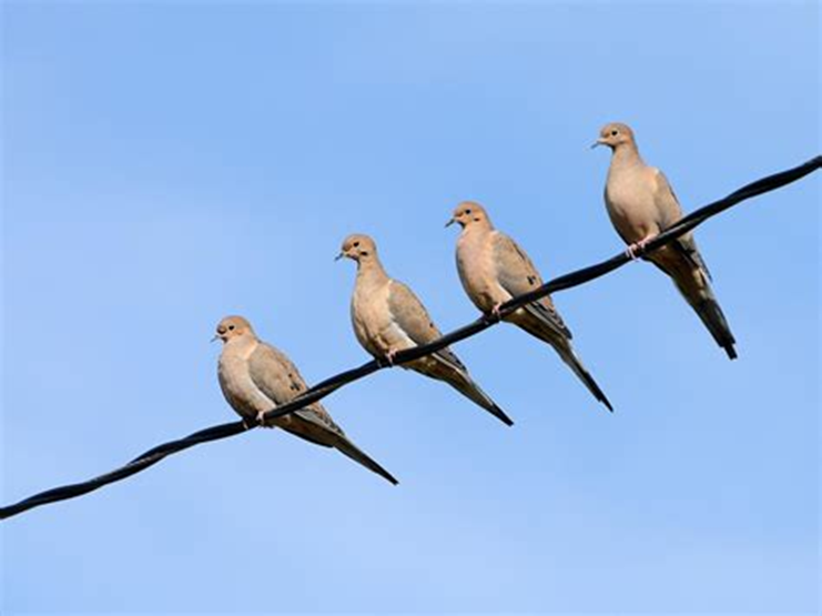 Eva Close tweet media