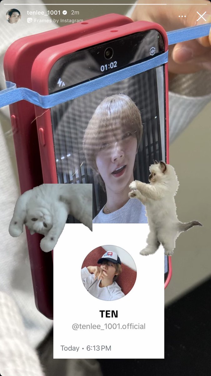 TEN LEE TEAM tweet media