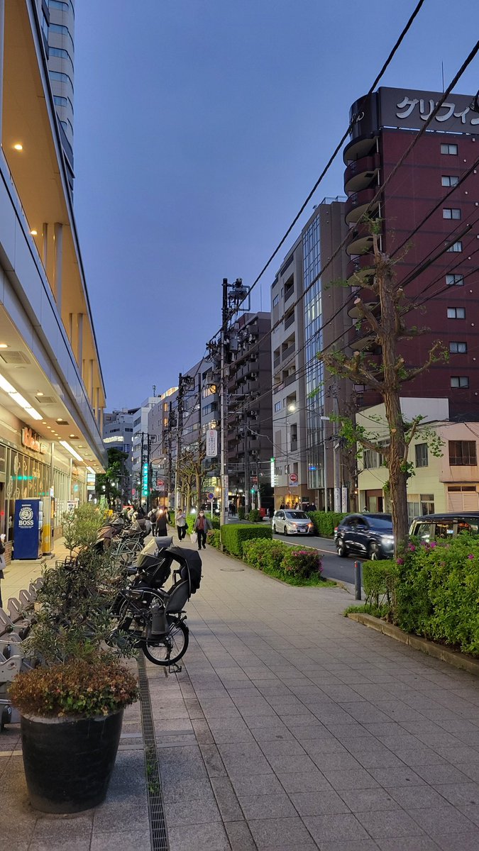 ハルいち tweet media