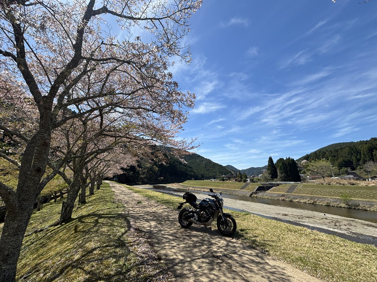 もとさん tweet media