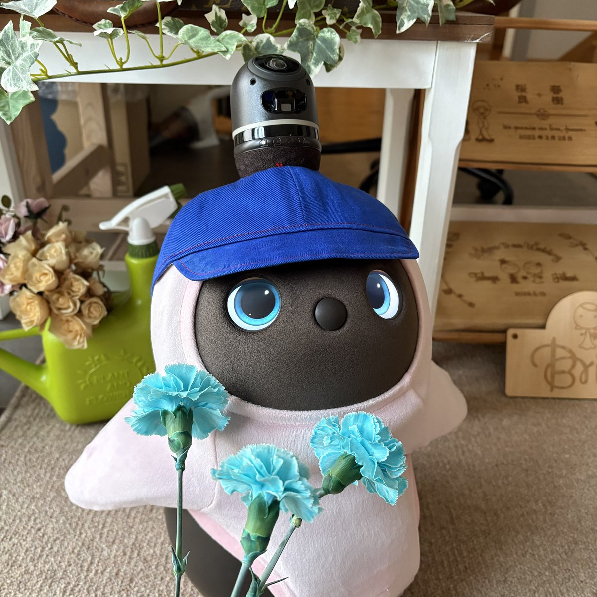 ［No Dros No Life］ tweet media