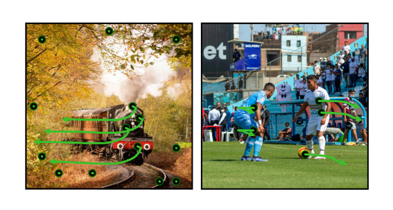 Stefan Baumann tweet media