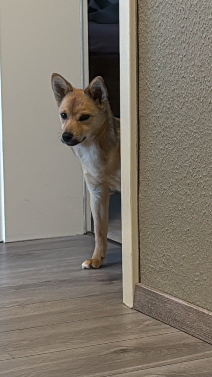 anner🐈⬛ tweet media