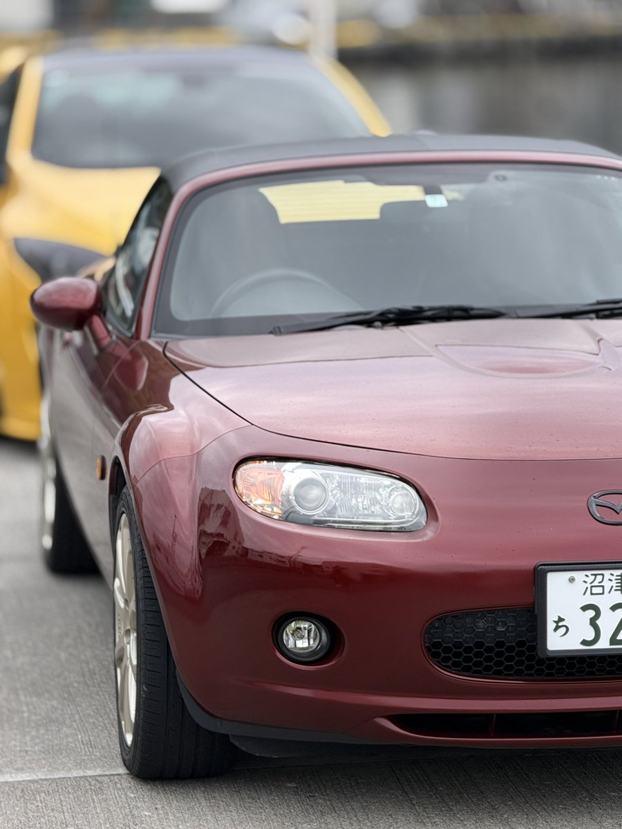 あるる tweet media