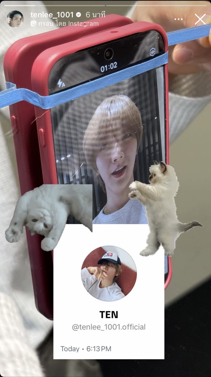 น์ 💜🐱 tweet media