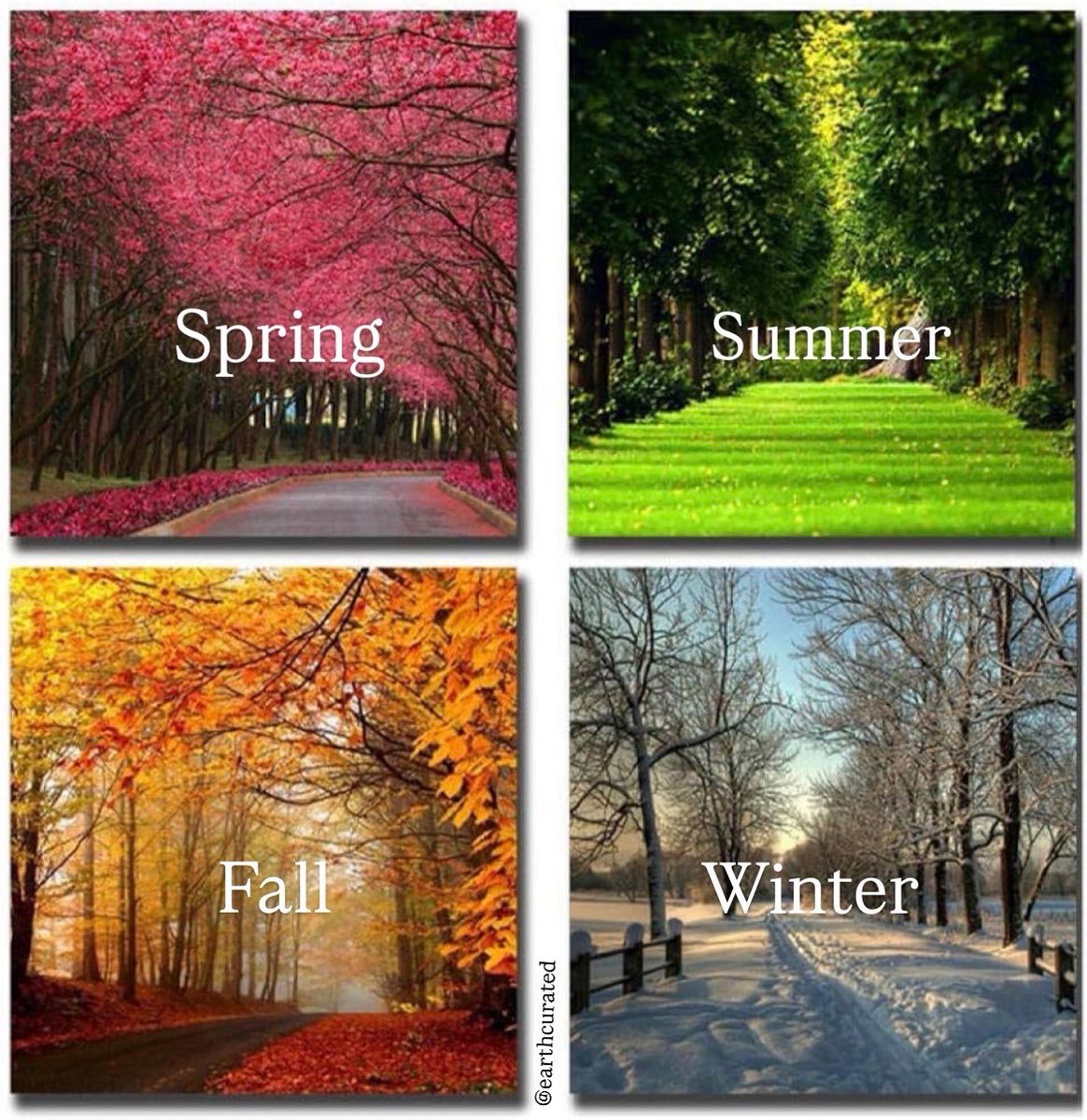 𝐌𝐚𝐭𝐭 𝐏𝐢𝐧𝐧𝐞𝐫 tweet media