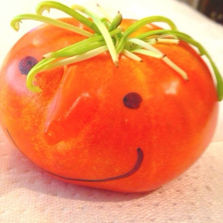 tomato creations updates tweet media