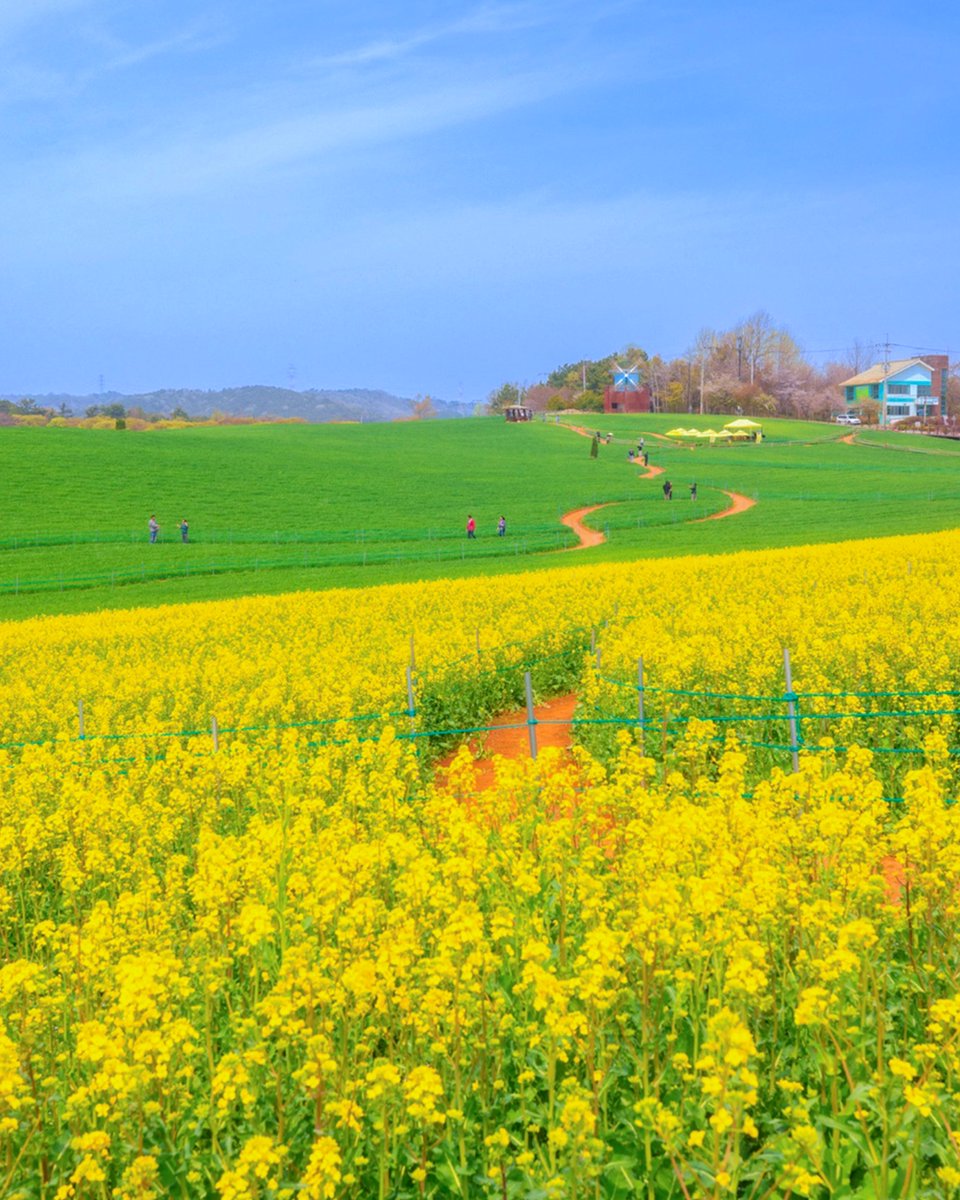 한국관광공사 :: 까우니의 대한민국 구석구석 tweet media