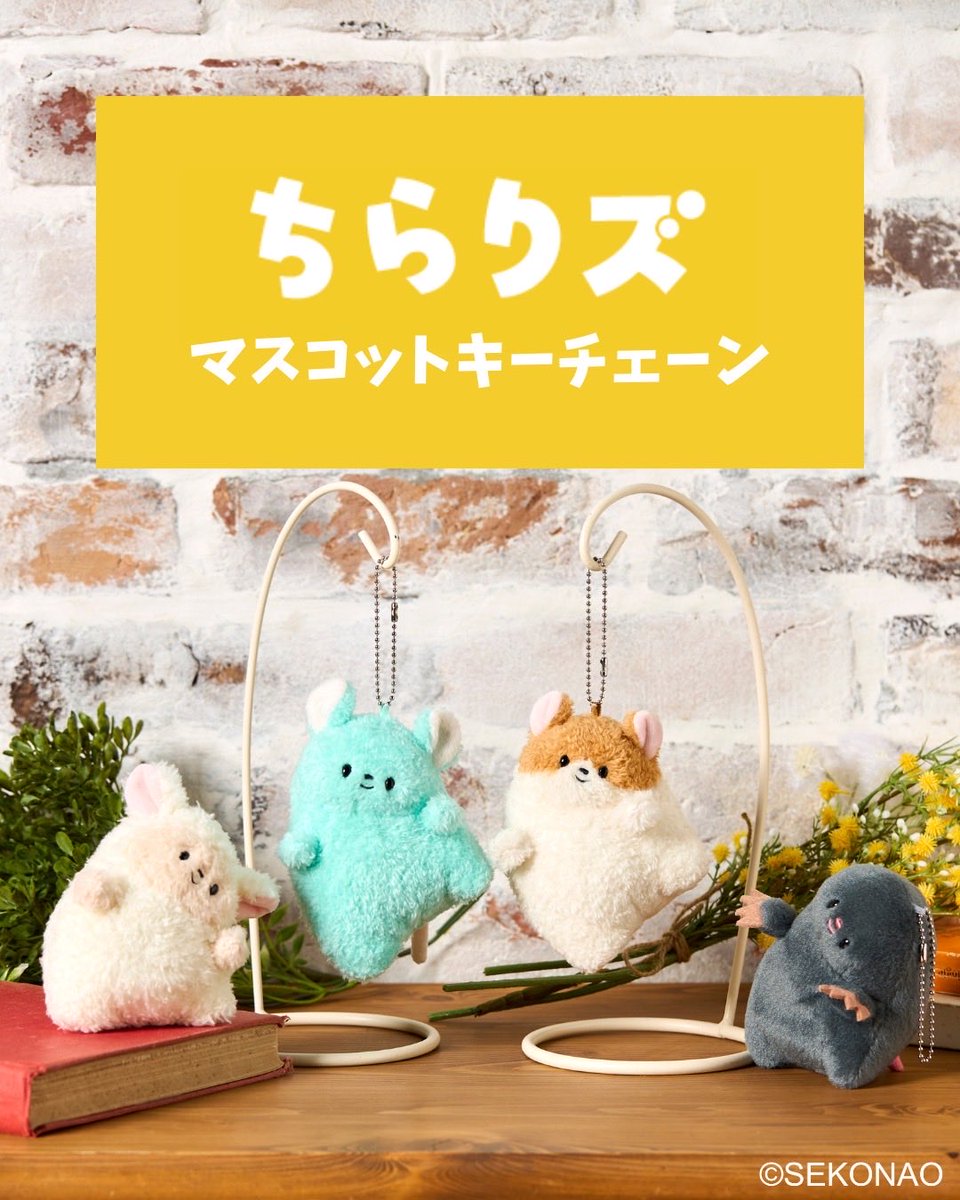 セキグチ公式オンラインショップ tweet media