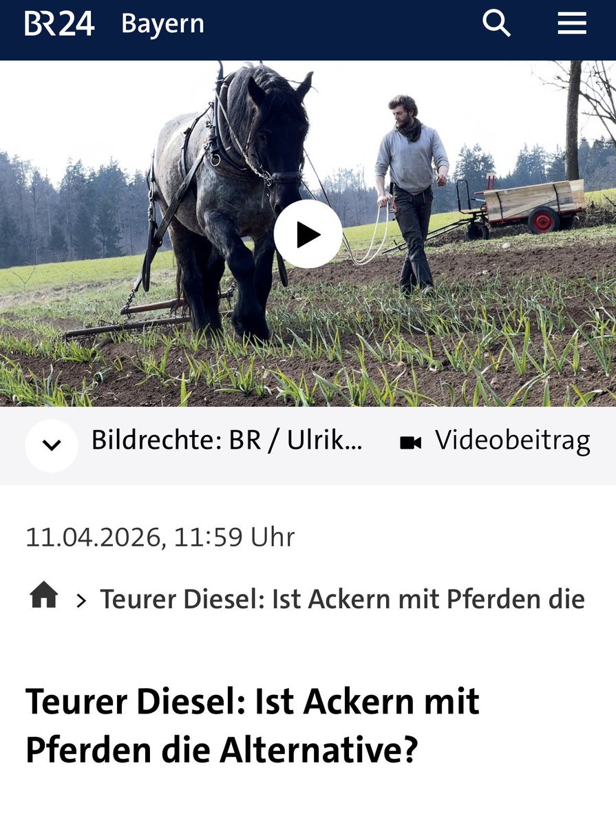 Peter Eich tweet media