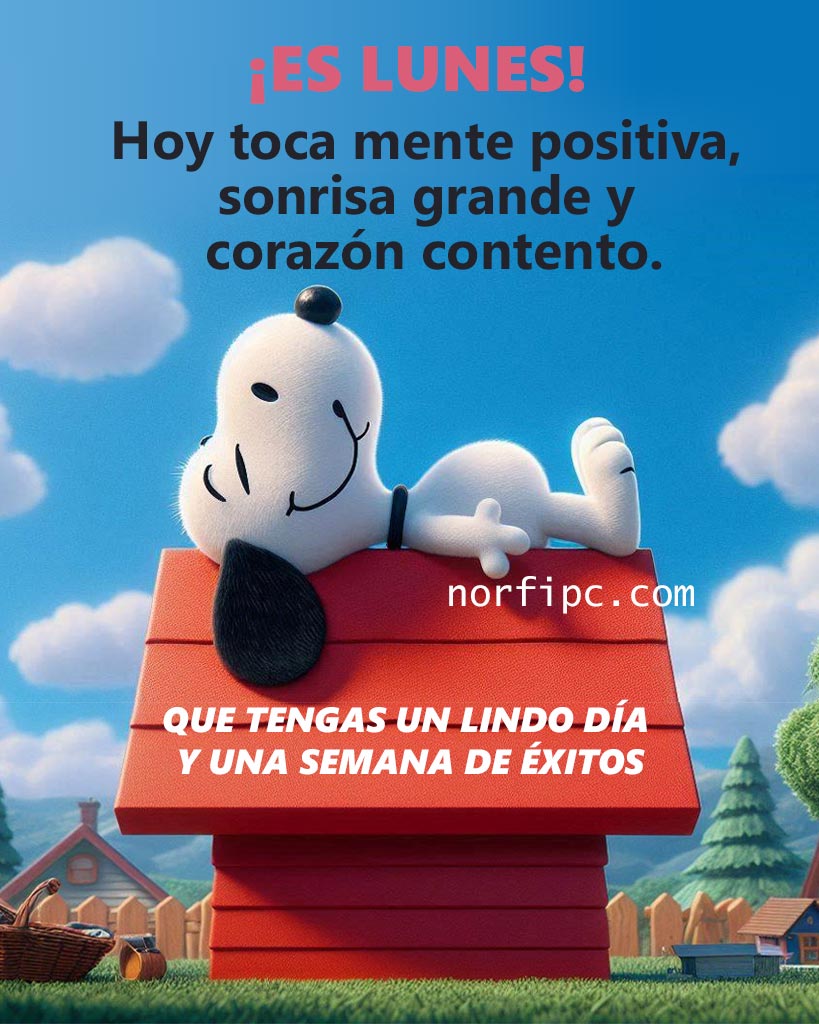 FrasesNorfiPC's tweet image. ¡Buenos días! 
Hoy es lunes, hoy toca mente positiva, sonrisa grande y corazón contento. Que tengas un lindo día y una semana de éxitos. 
¡Feliz lunes! 
#buenosdias
#lunes
#felizlunes