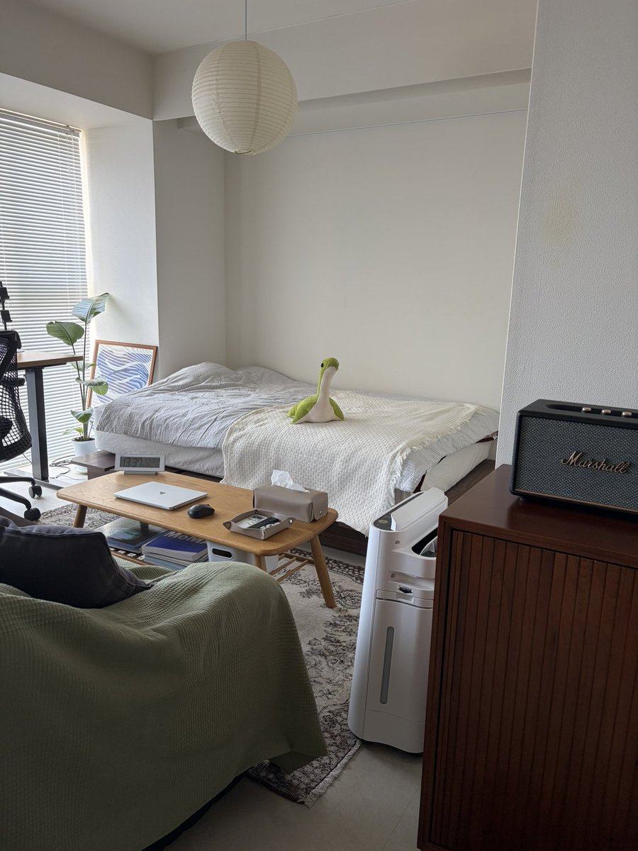 一人暮らしの方にぴったりです A budget-friendly single-person apartment tour, coffee, and palm
