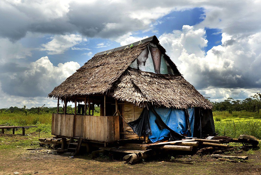 GeckoTerminal tweet media