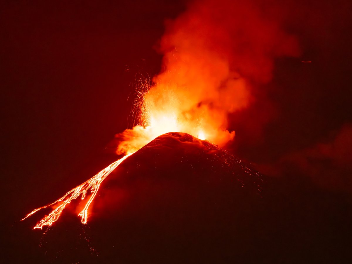 Université de Lausanne tweet media