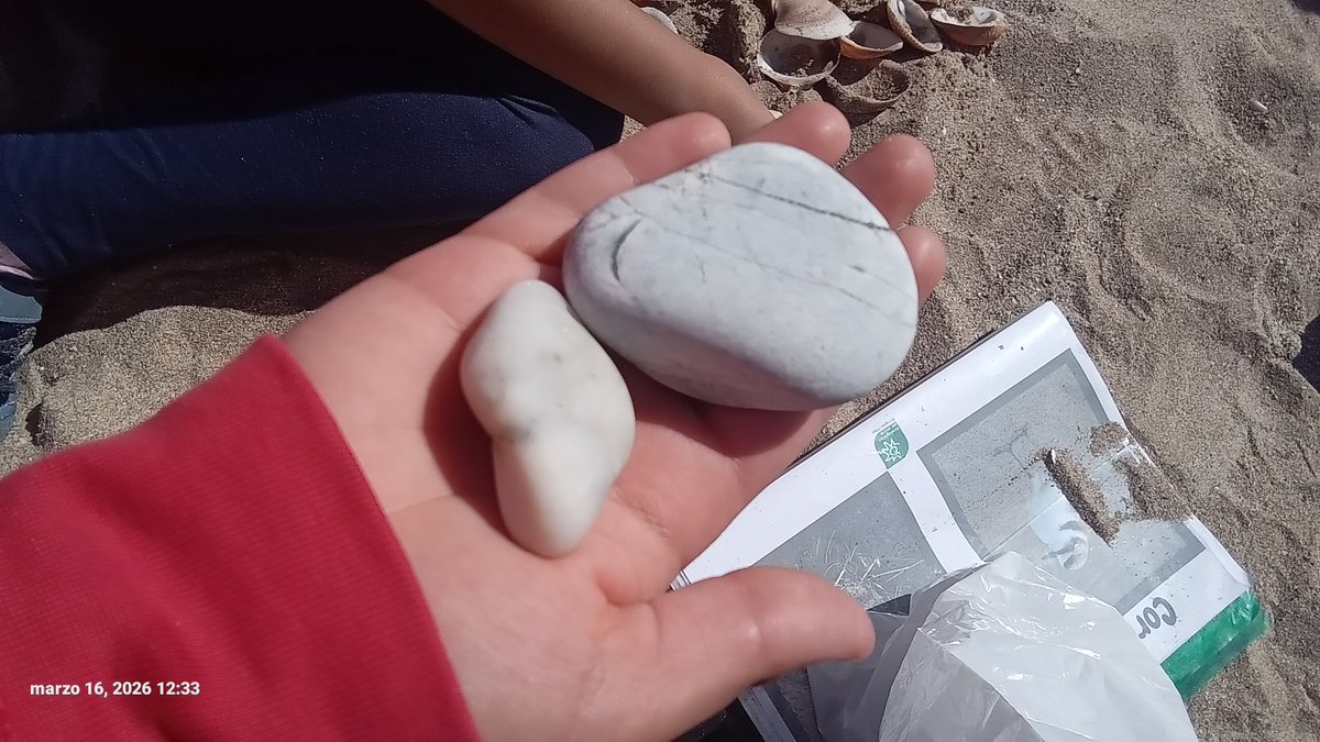 auroracet's tweet photo. 🌿Hem compartit dues activitats de Descoberta del Gorg de Creixell amb l’alumnat de 3r i 4t de l’escola Les Eres, en les que hem parlat de dunes, biodiversitat i espècies invasores. Un matí ple d’aprenentatge i natura! 
 📣 #AjutsMAP @transicioeco
#educacióambiental #Creixell https://t.co/J6ZozPsokA