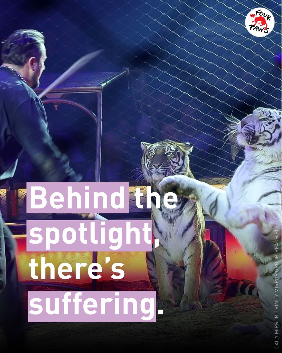 Kirk Lee Rhoads tweet media