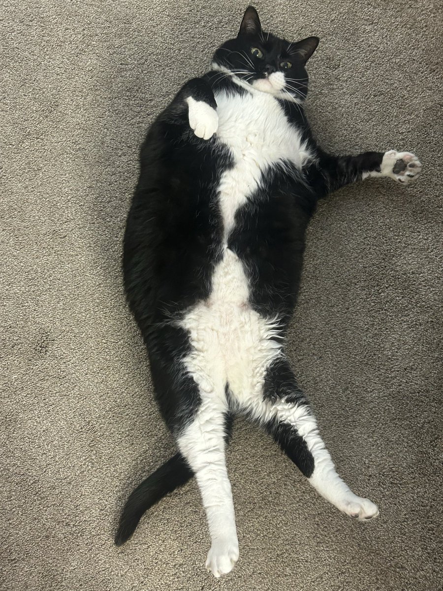 Dapp Centre tweet media