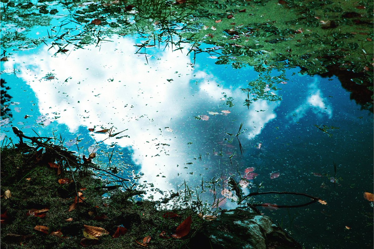 Düşdünyagezgini 🦊 tweet media