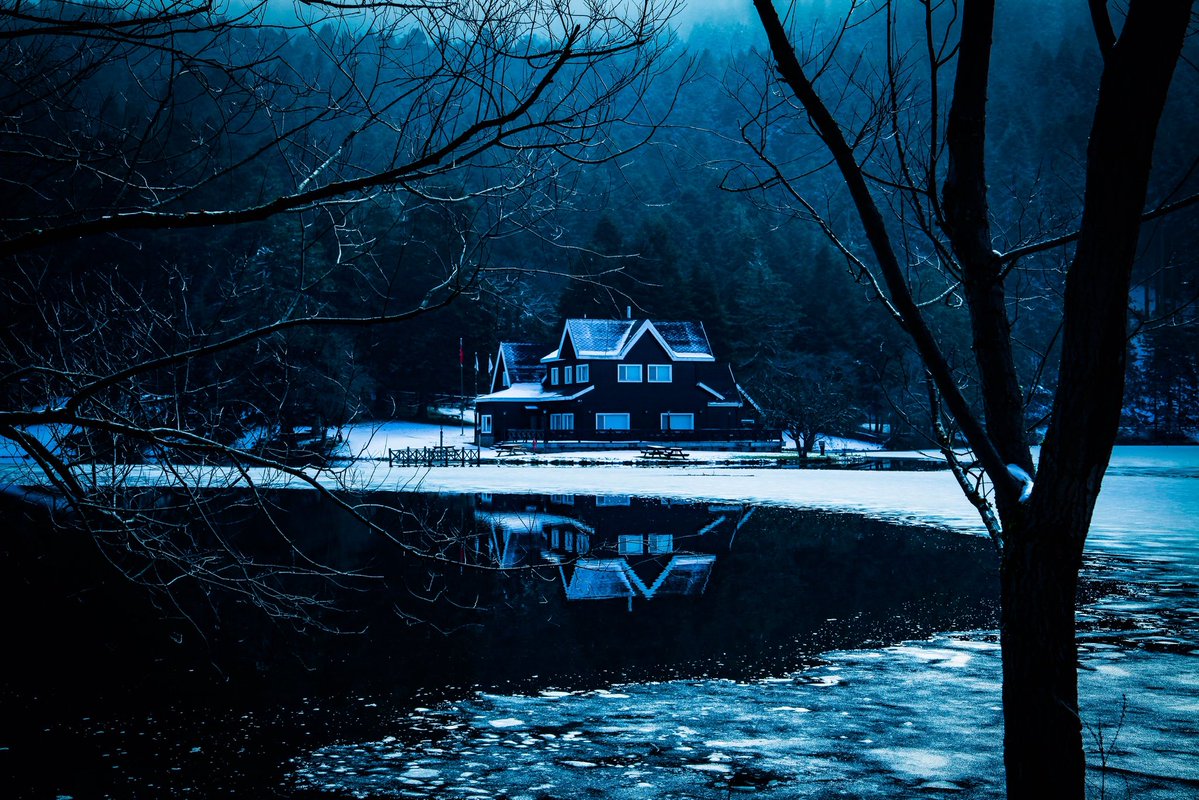 Düşdünyagezgini 🦊 tweet media