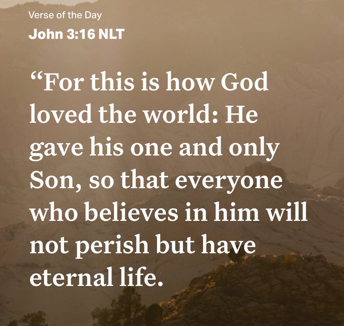 Mrs Adebayo tweet media