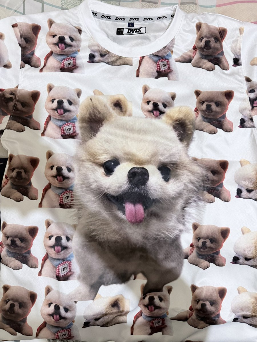 snowint.zero1 tweet media