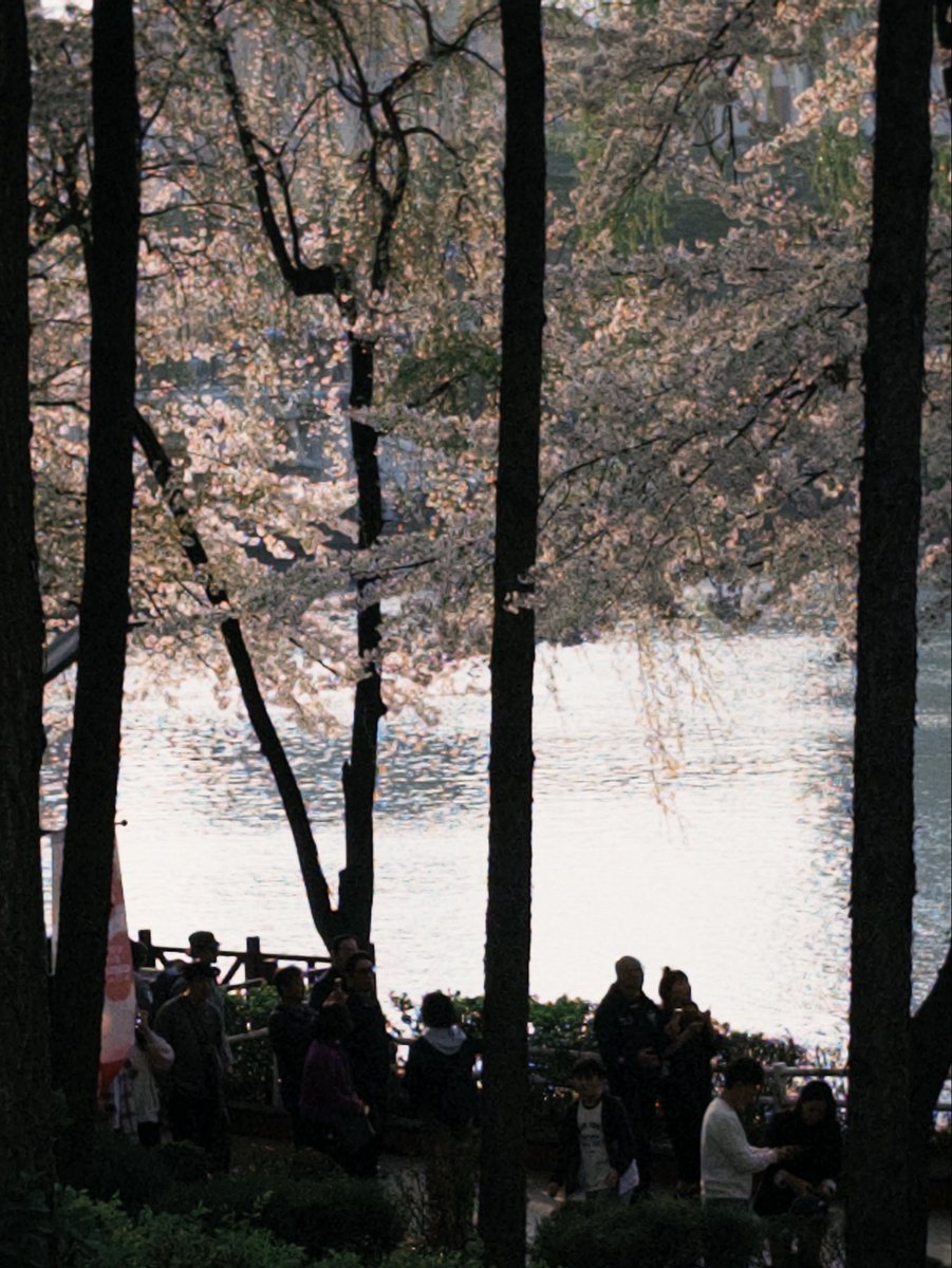 석촌호수를 카메라로 담아봣어요 🤳🏻