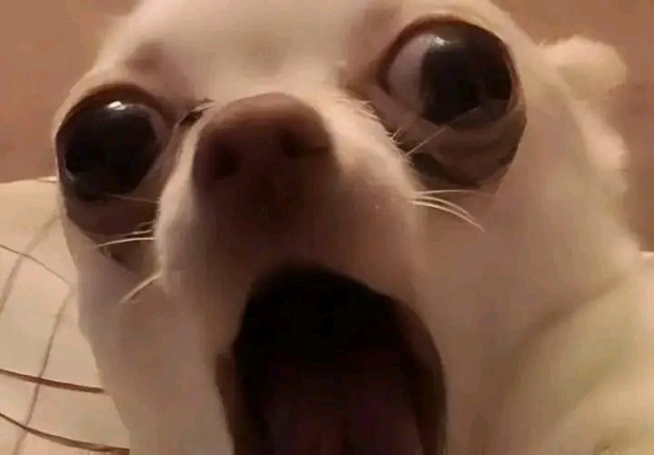 Chichi💗 tweet media