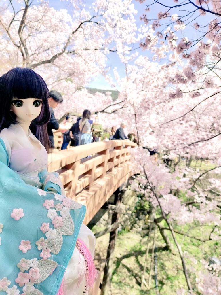 中島下総守義胤 tweet media