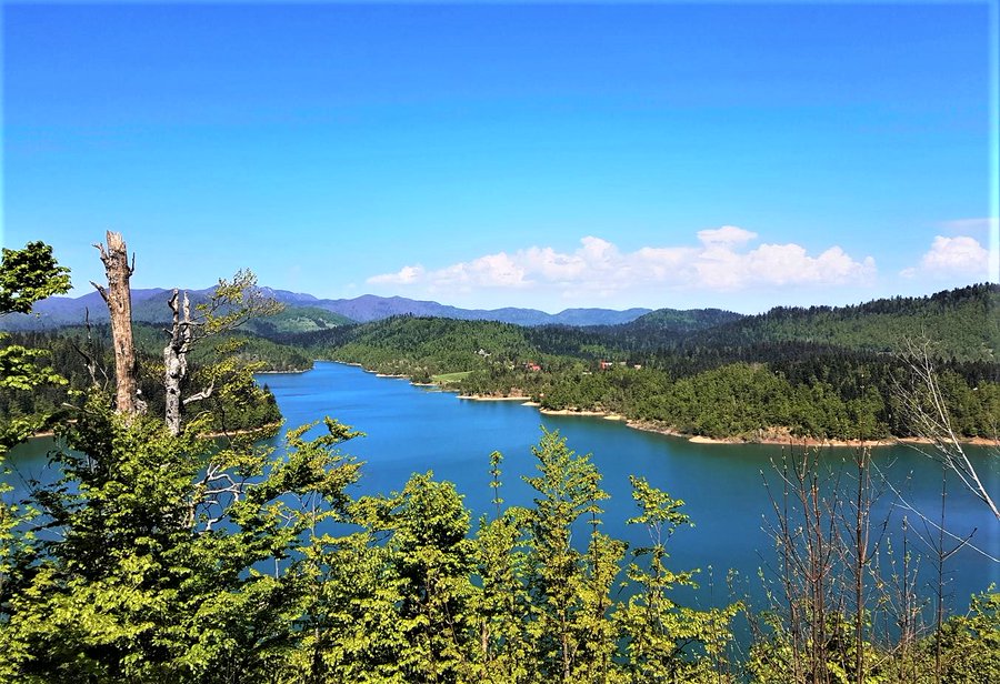 Green is a mission tweet media