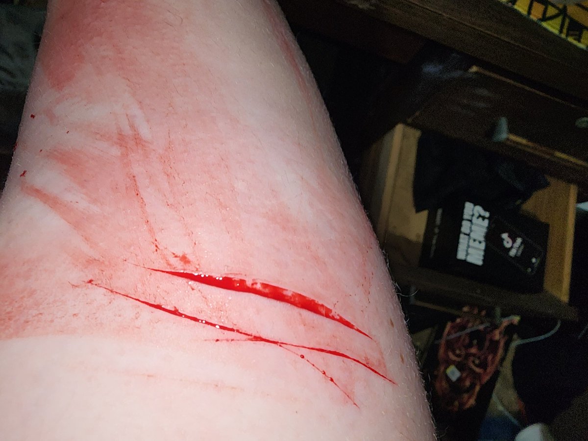 ⊹ ࣪ ˖ PELLE OF SHEDTWT .ᐟ tweet media