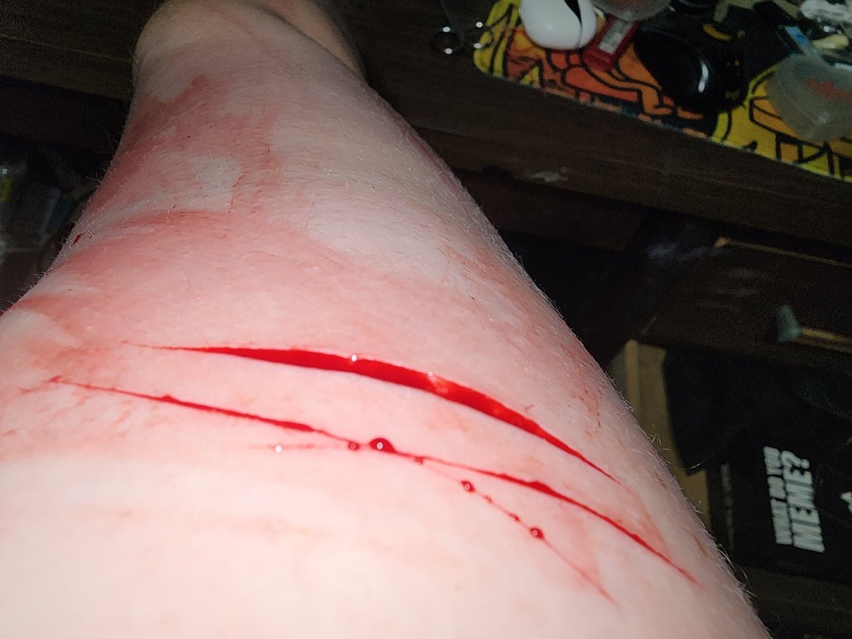 ⊹ ࣪ ˖ PELLE OF SHEDTWT .ᐟ tweet media