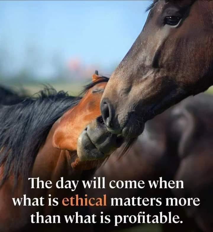 Ajacx 161 🏴 tweet media