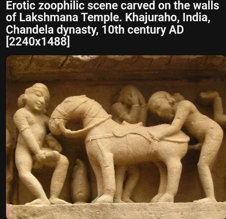 Anki Core tweet media