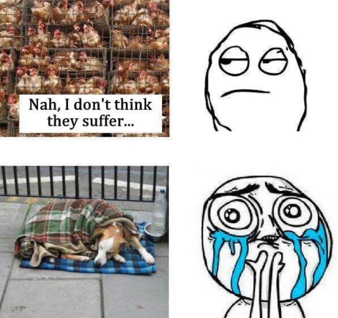 rvalerob tweet media