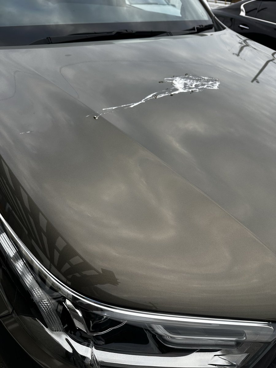 チンキのポコ tweet media