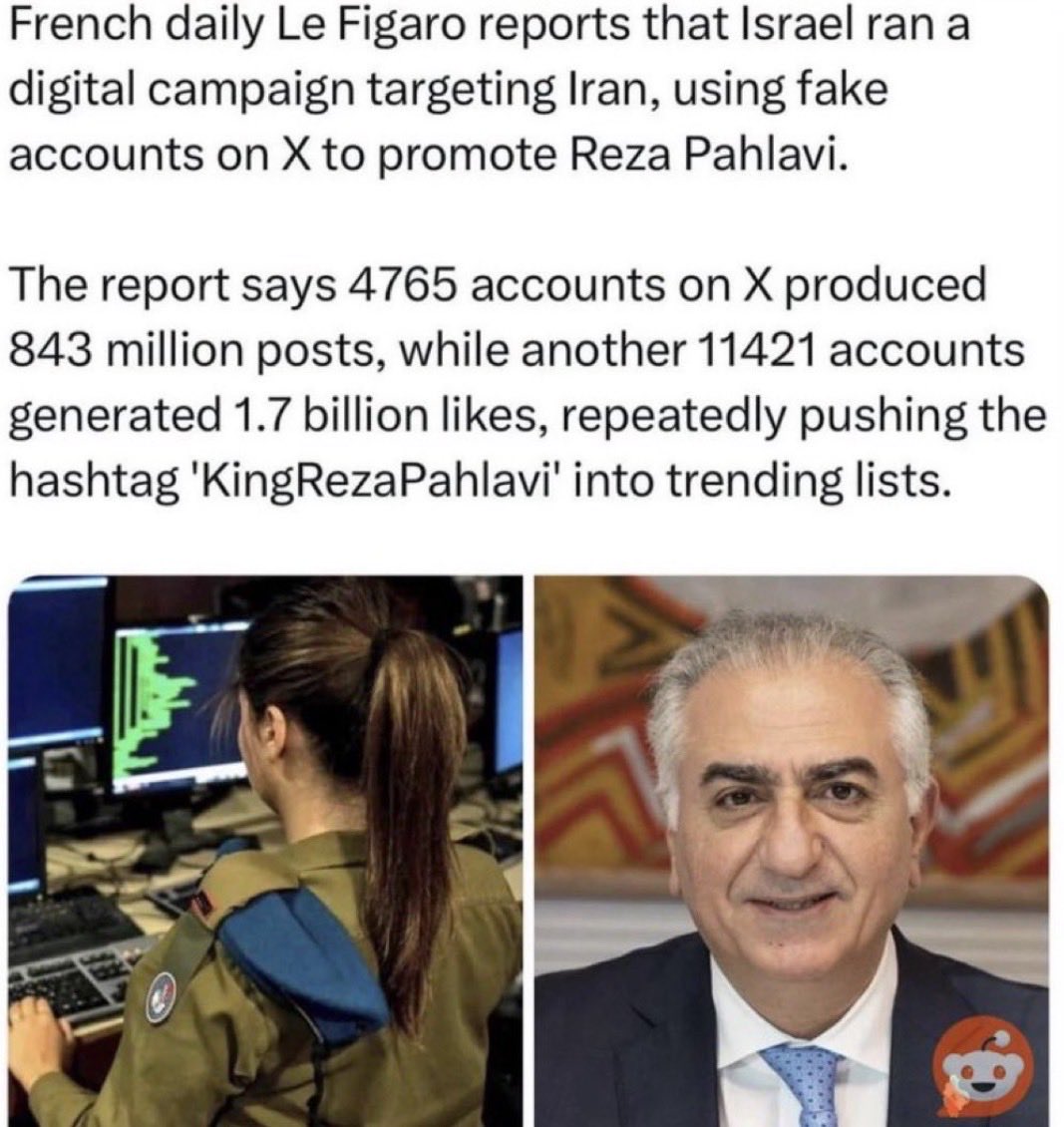 Lisa Engström🇵🇸🇸🇪 tweet media