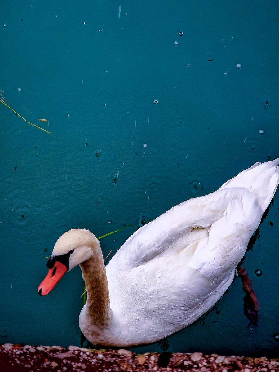 Francesco_G92's tweet image. I know I could have done better now, but at the time I had to settle for what I had #S22Ultra