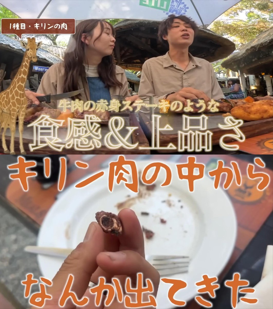 滝沢ガレソ tweet media