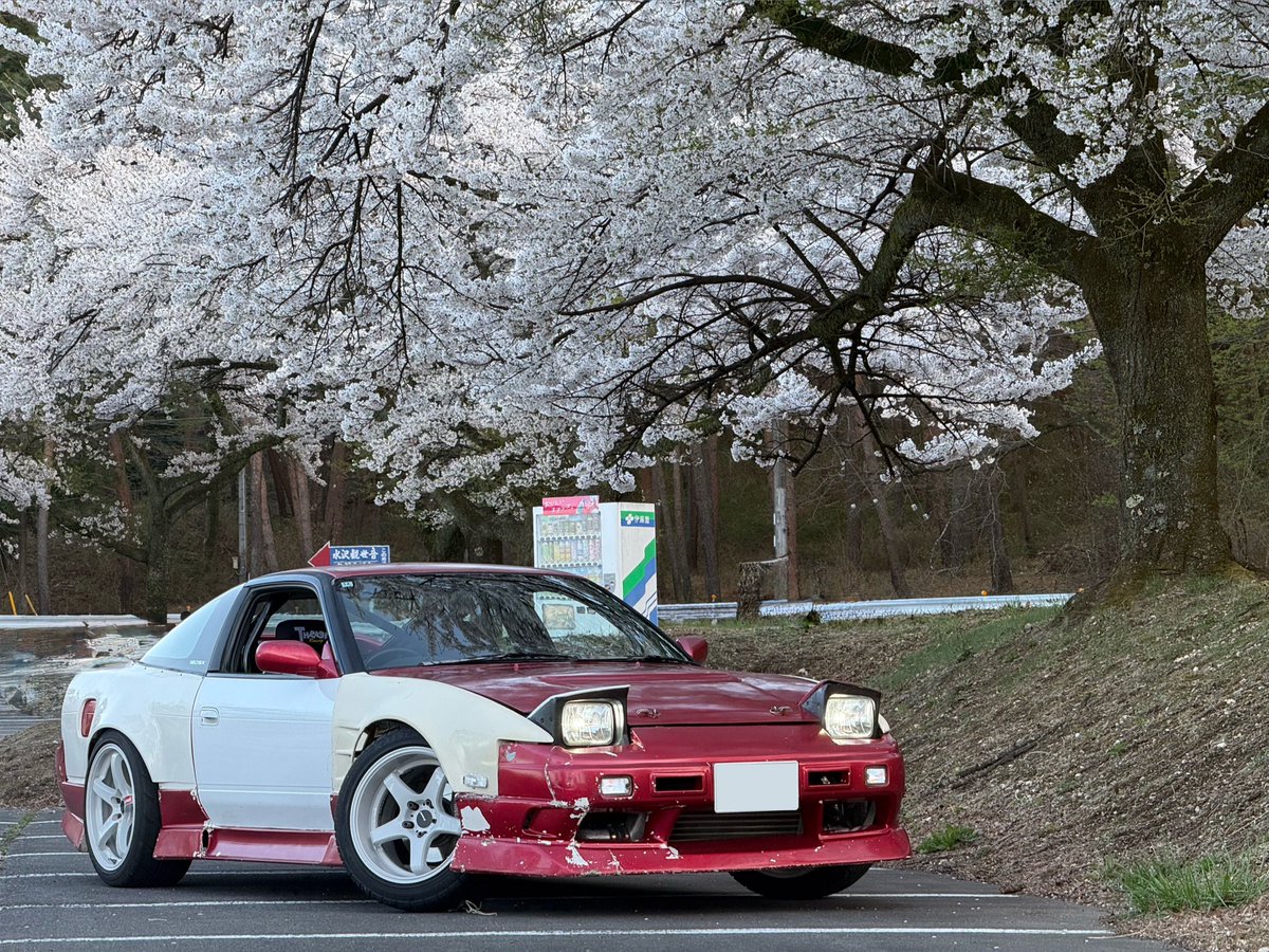 桜🌸×180sx