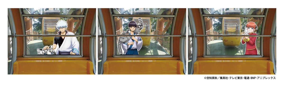 銀魂ぴーあーる tweet media
