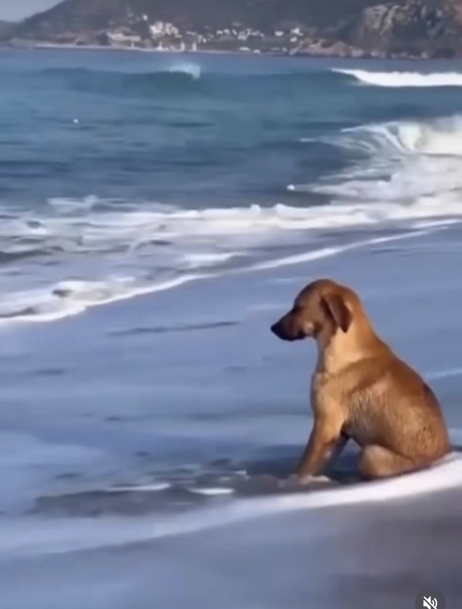 CSGORoll tweet media