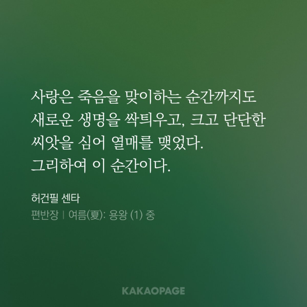 당도🍓 tweet media