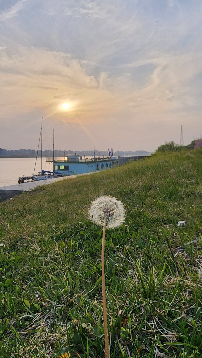 달빛🌙 tweet media