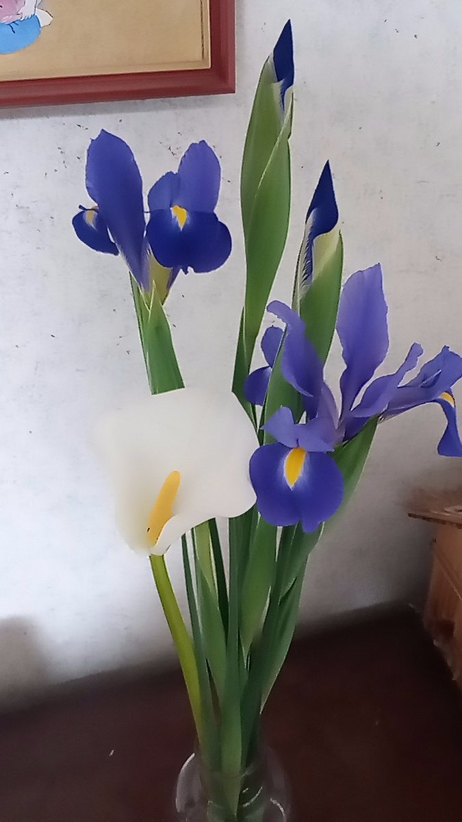 ご近所の方に頂いた
水彩画のよう