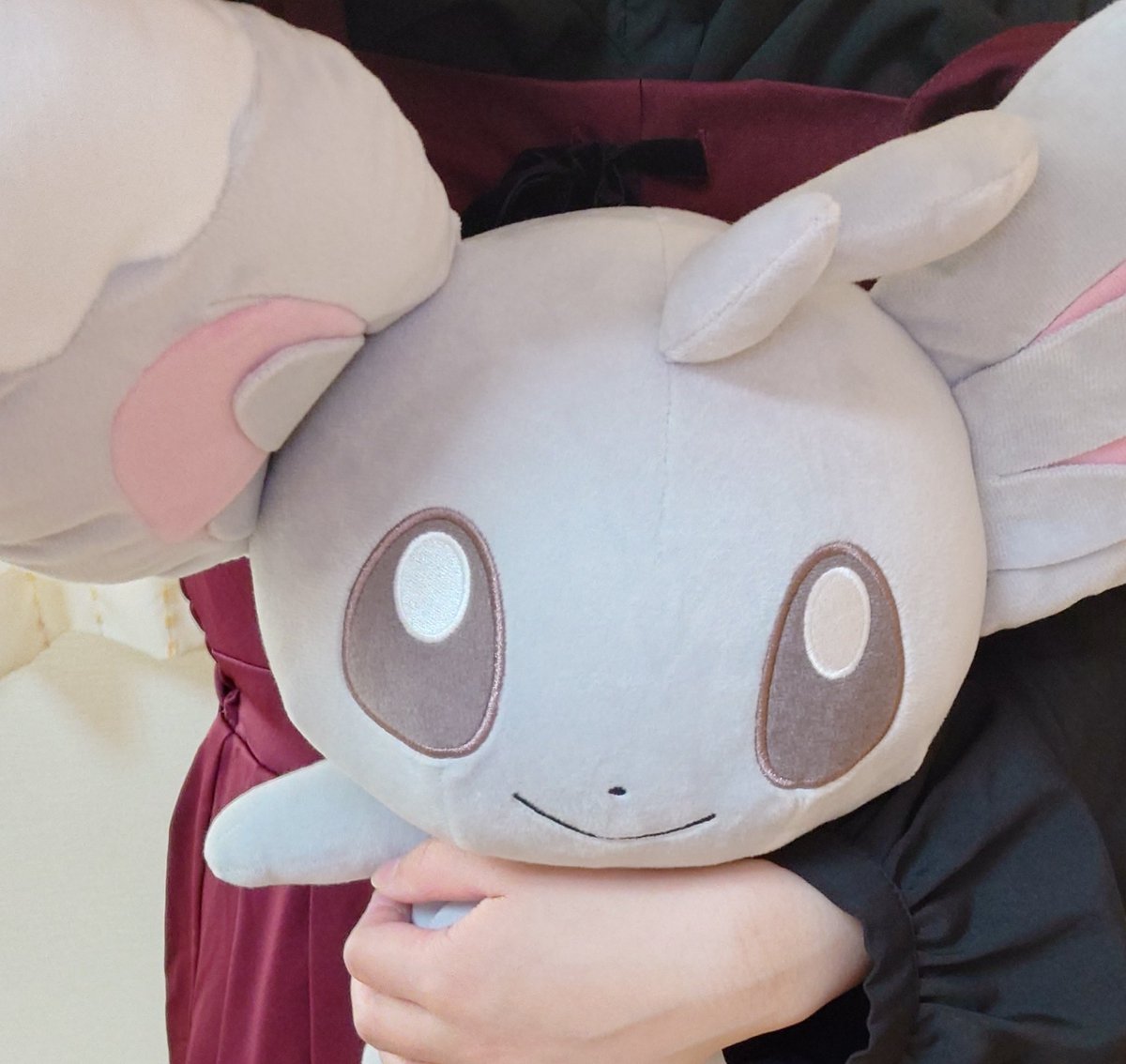 あおい tweet media