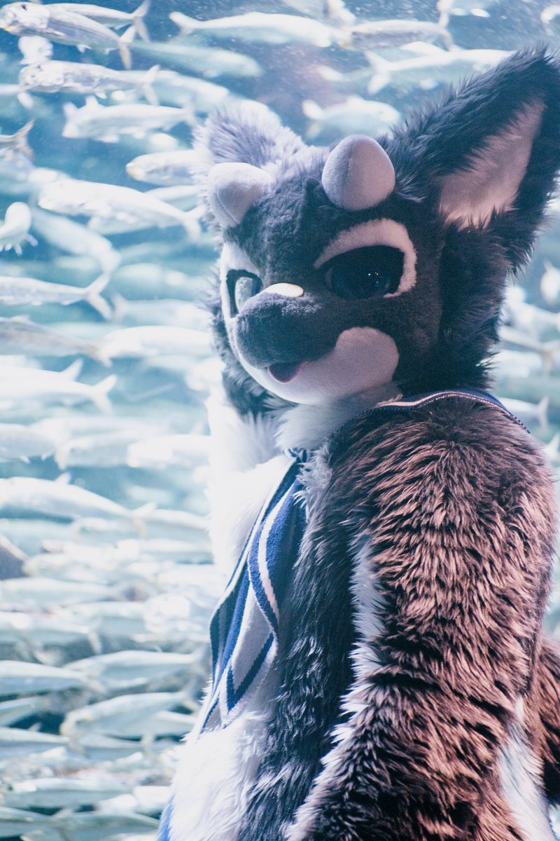 はいしぃ🫍 tweet media