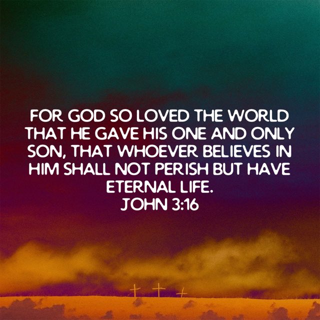 💯Aggie Owens🥩💯 tweet media