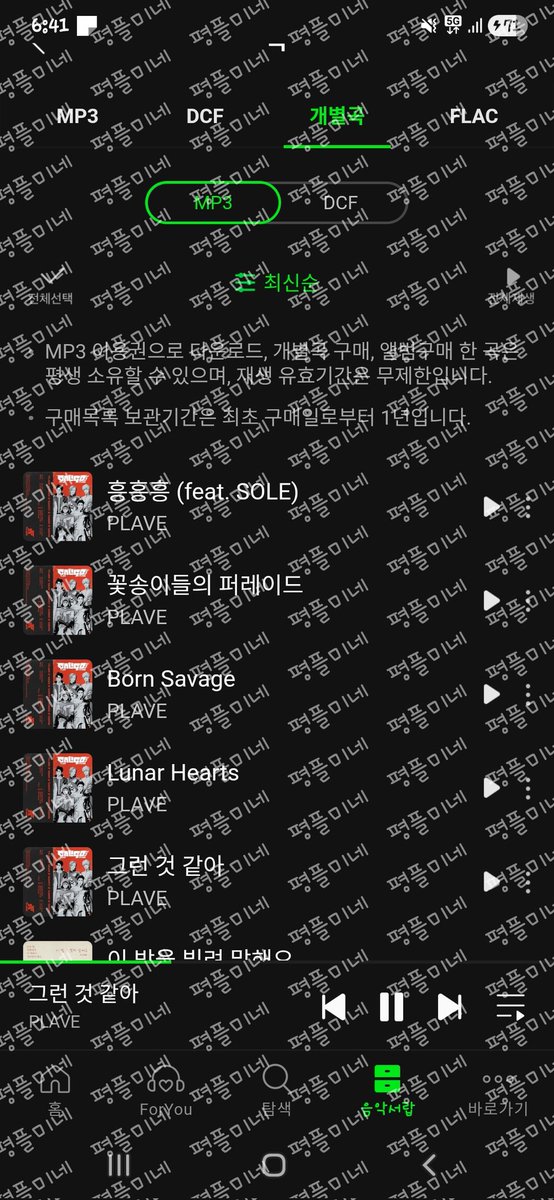 평플미네 tweet media