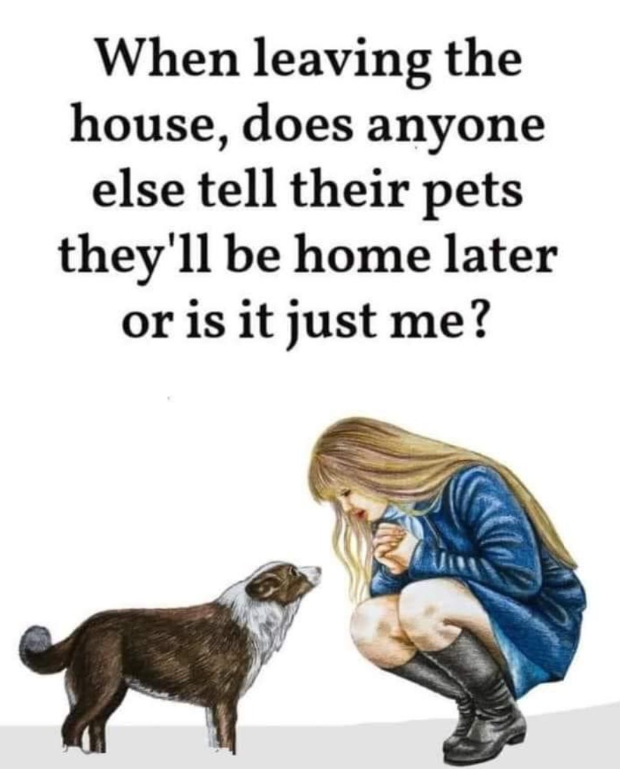 Pawzazzle tweet media